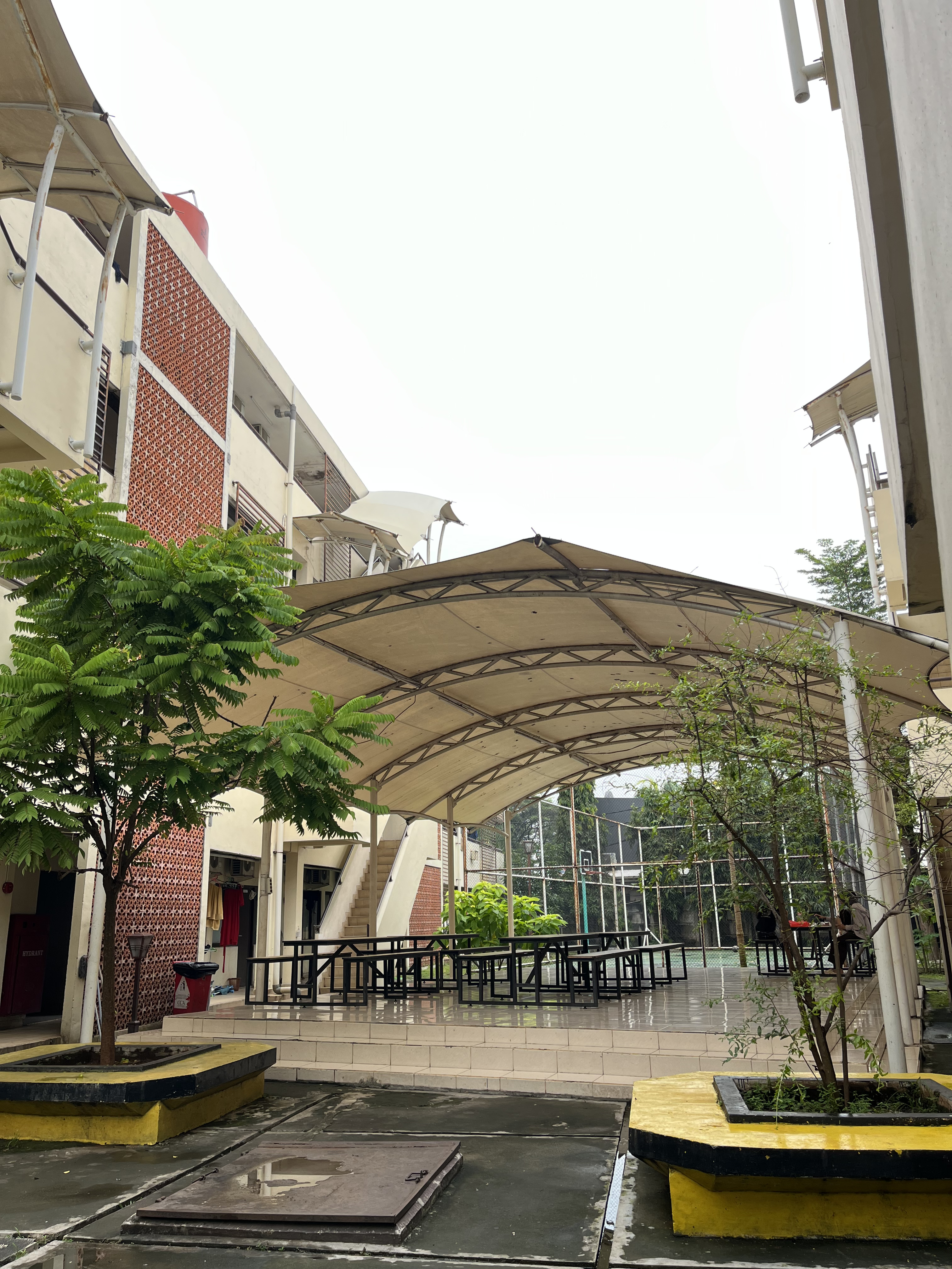 Study Area